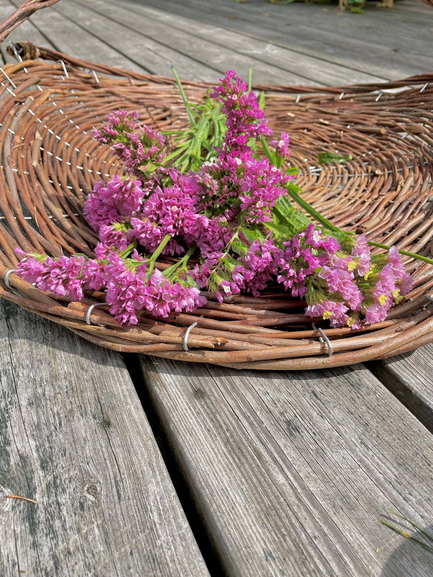 Risp ”Forever Happy”