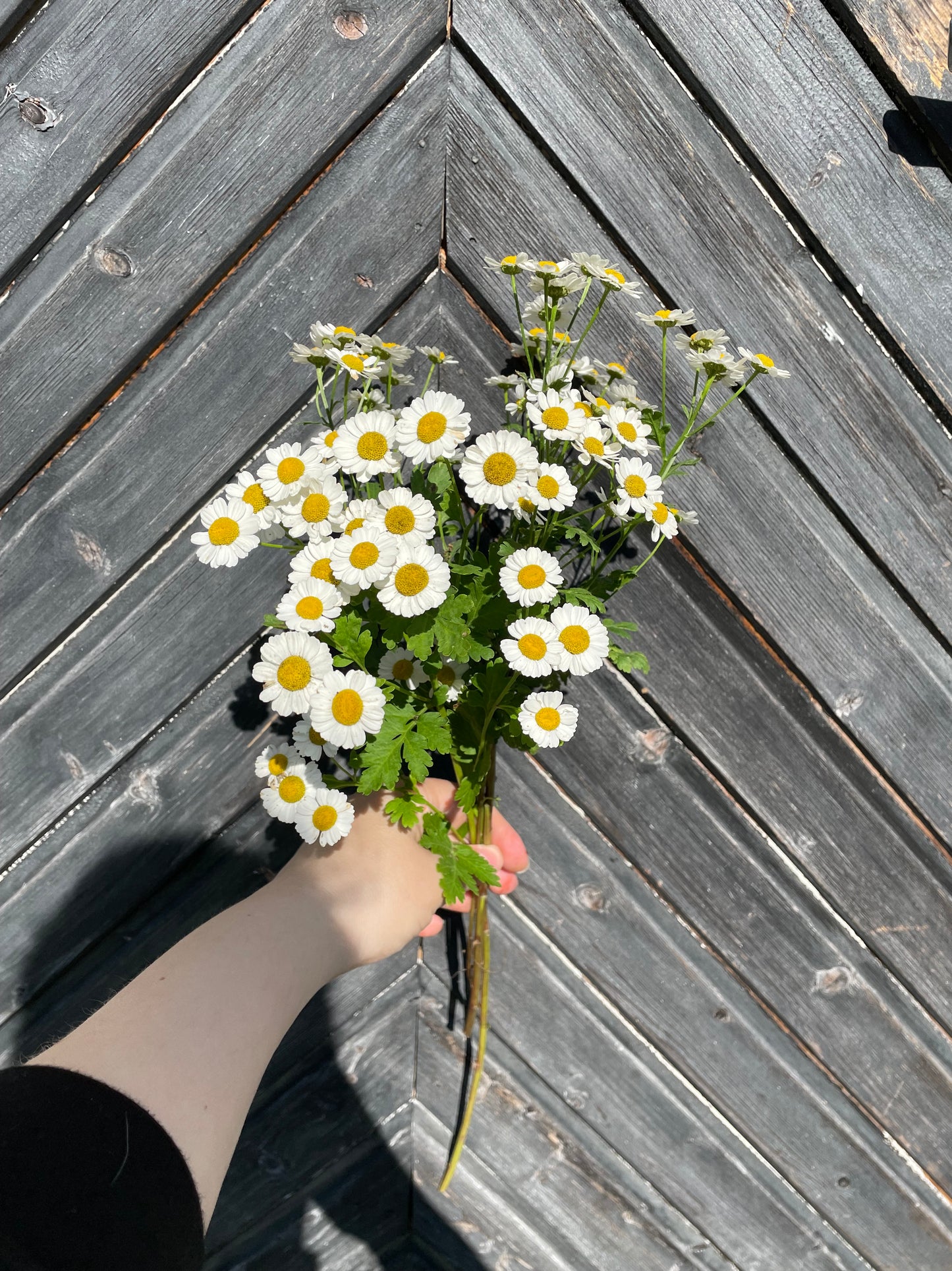 Mattram ”Tall Single”