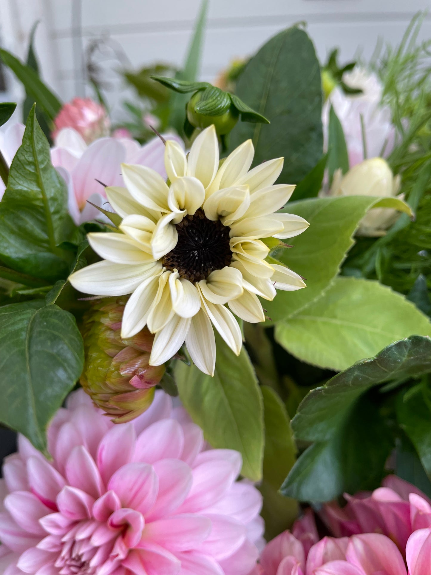 Solros F1 ”Pro Cut White Nite”