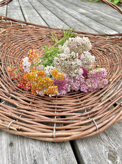 Röllika ”Pastel mix”