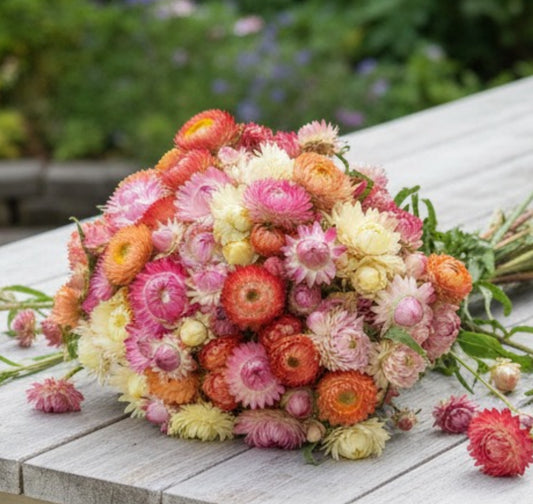 Jätteeternell ”Pastellmix"