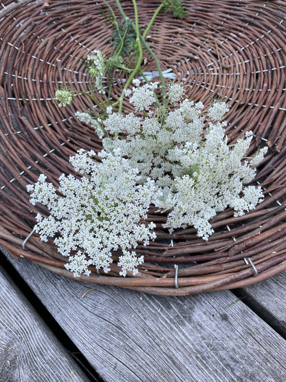 Blomstermorot ”Vit”