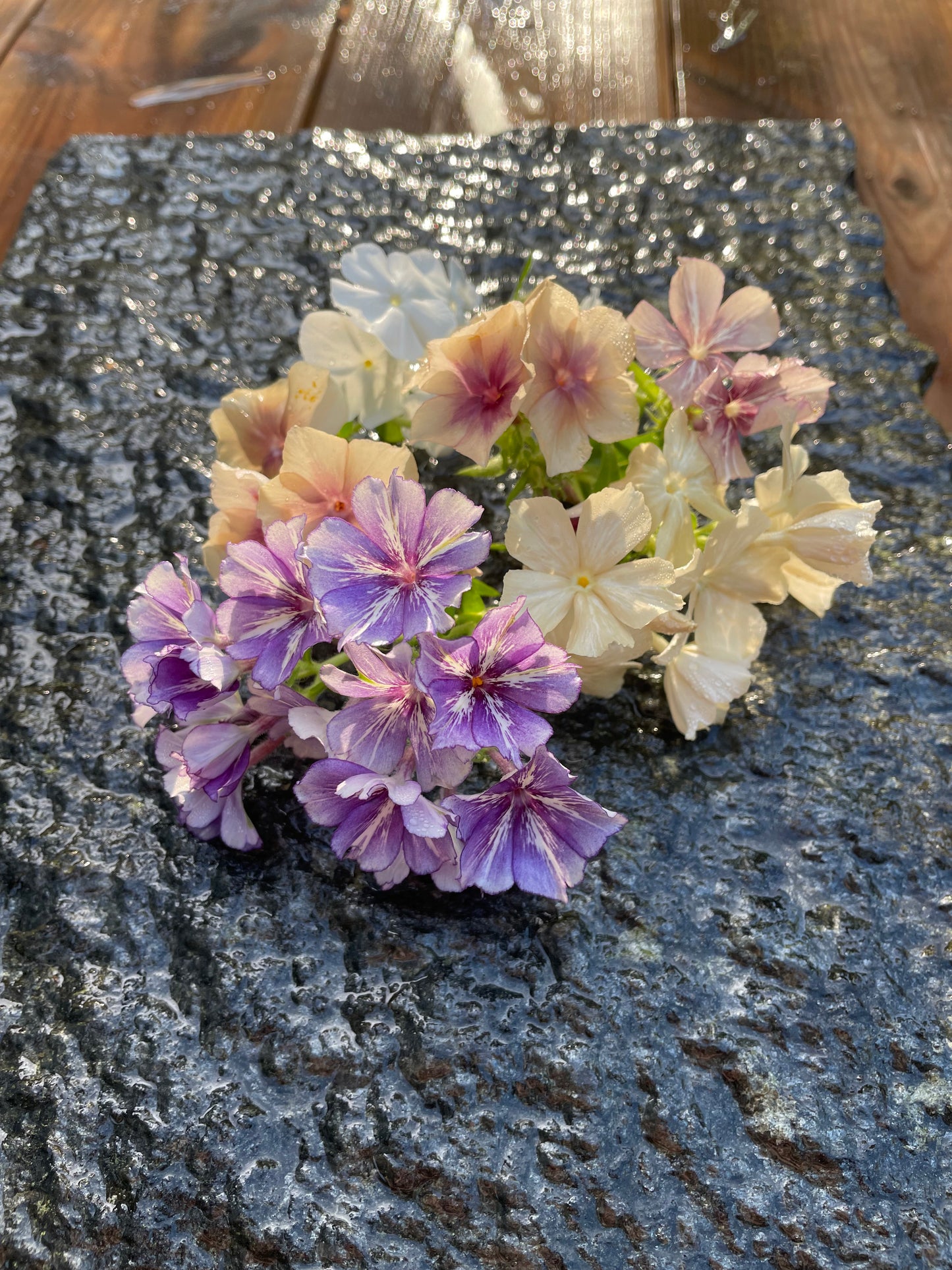 Sommarflox ”Mix”