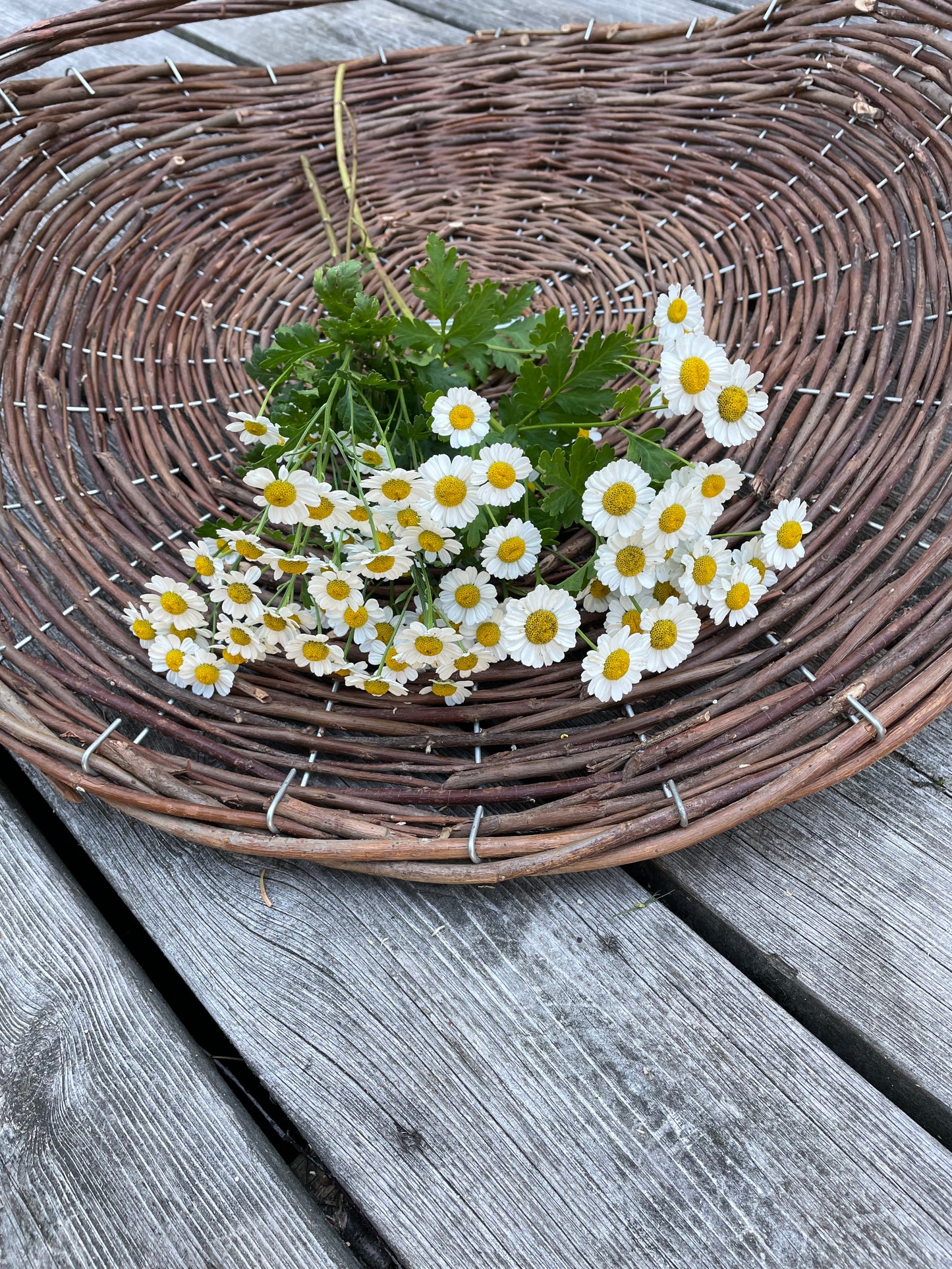 Mattram ”Vegmo Single”