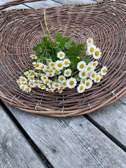 Mattram ”Vegmo Single”