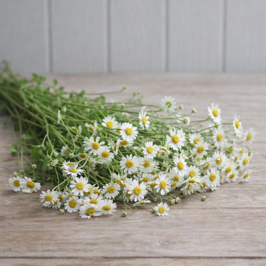 Mattram ”Tall Single”