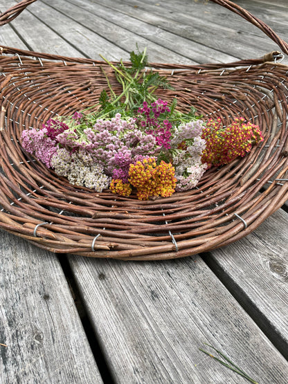 Röllika ”Pastel mix”