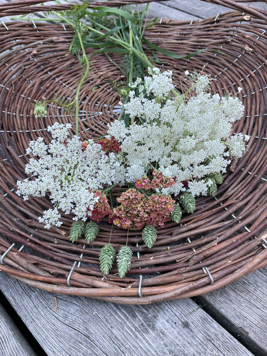 Blomstermorot ”Vit”