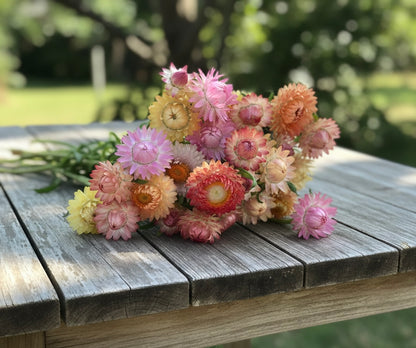 Jätteeternell ”Pastellmix"