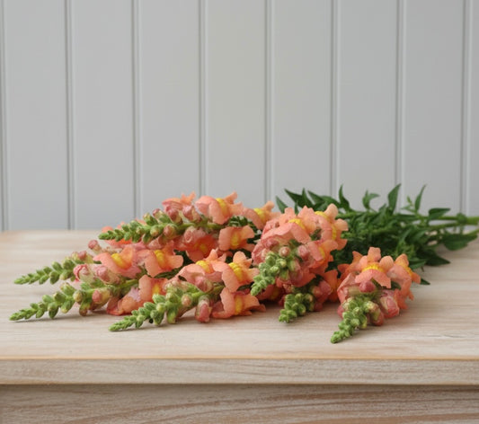 Lejongap F1 ”Potomac Orange”