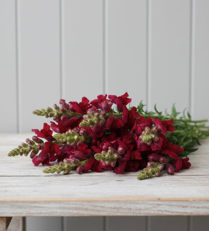 Lejongap F1 ”Potomac Crimson”