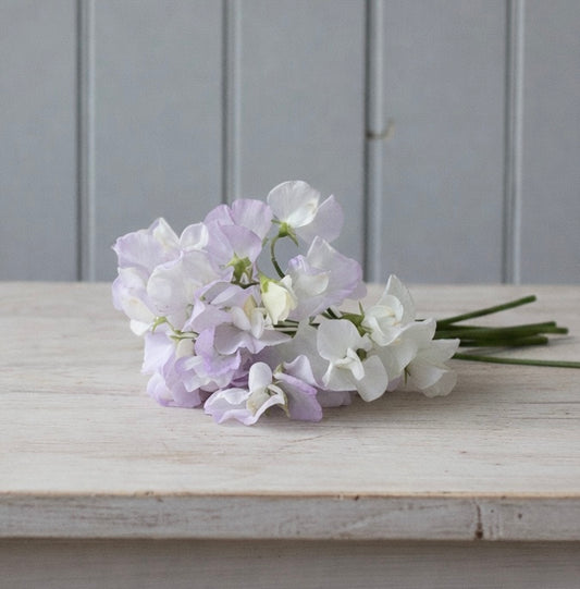 Luktärt ”Spencer Arthur Hellyer”