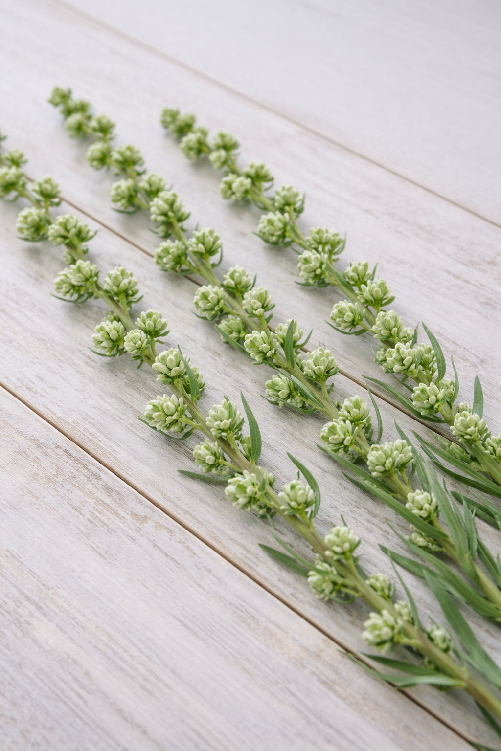 Rosenstav ”Popcorn”