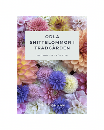 Odla snittblommor i trädgården - E-bok