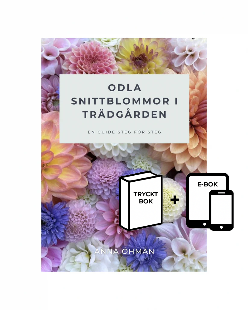 Förköp - Odla snittblommor i trädgården - Tryckt bok och E-bok