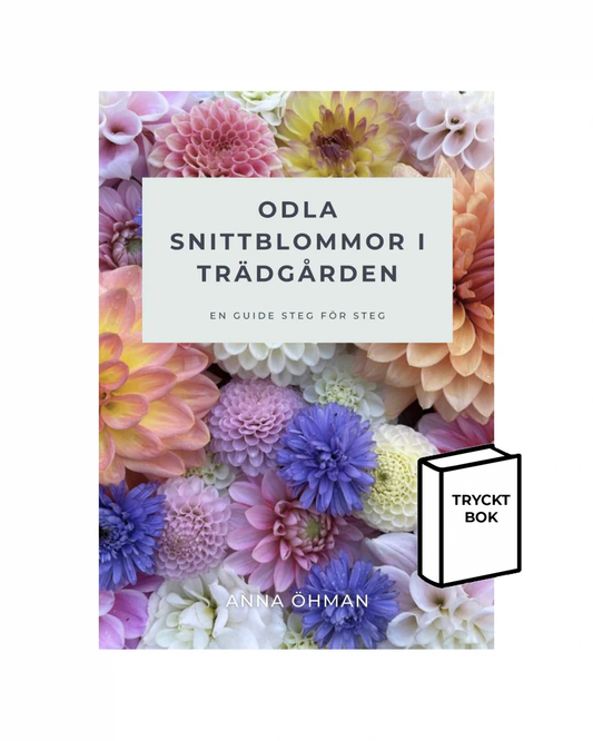 Förköp - Odla snittblommor i trädgården - Tryckt bok